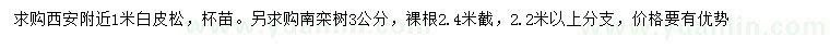 求購(gòu)1米白皮松、3公分南欒