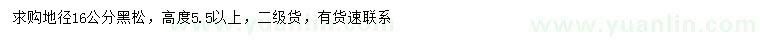 求購(gòu)地徑16公分黑松