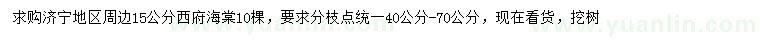 求購15公分西府海棠