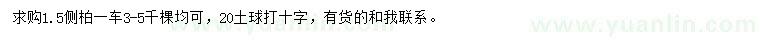求購側(cè)柏