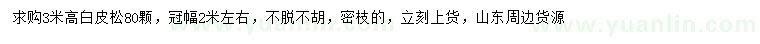求購(gòu)高3米白皮松