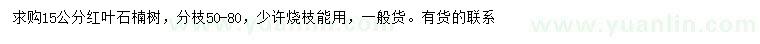 求購15公分紅葉石楠