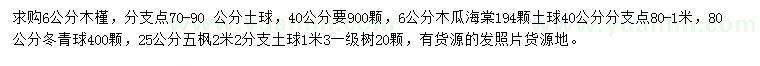 求購木槿、木瓜海棠、冬青球等