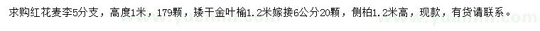 求購紅花麥李、金葉榆、側(cè)柏