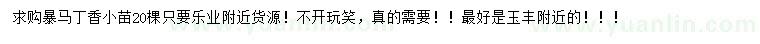 求購暴馬丁香