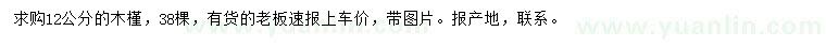 求購12公分木槿