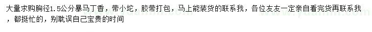 求購胸徑1.5公分暴馬丁香