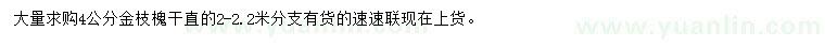 求購4公分金枝槐