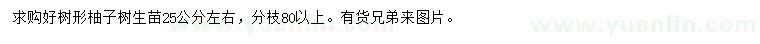 求購25公分左右柚子樹