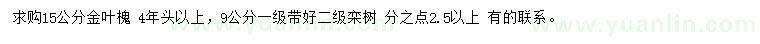 求購15公分金葉槐、9公分欒樹
