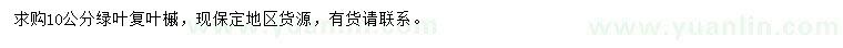 求購(gòu)10公分綠葉復(fù)葉槭