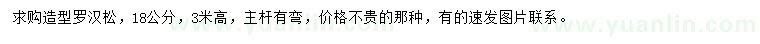 求購18公分造型羅漢松