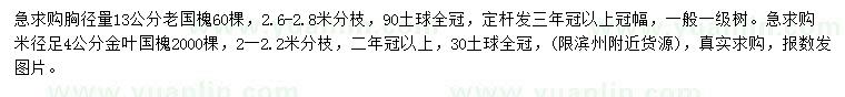 求購13公分老國槐、米徑4公分金葉國槐