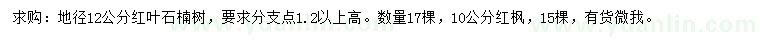 求購地徑12公分紅葉石楠樹、10公分紅楓