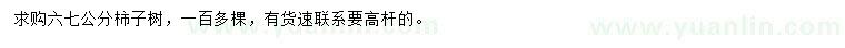 求購6、7公分柿子樹