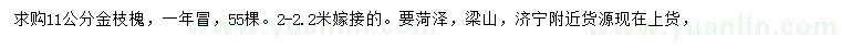 求購11公分金枝槐