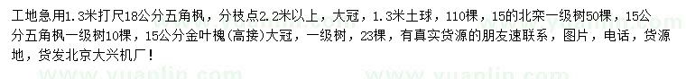 求購五角楓、北欒、金葉槐