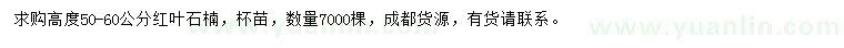 求購(gòu)50-60公分紅葉石楠