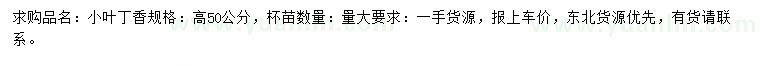求購高50公分小葉丁香