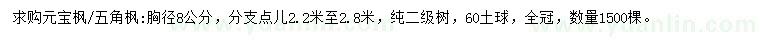 求購(gòu)胸徑8公分元寶楓、五角楓