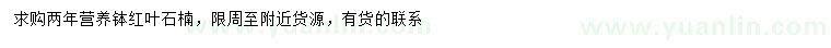 求購2年紅葉石楠