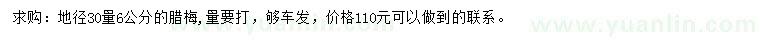 求購30公分量6公分臘梅