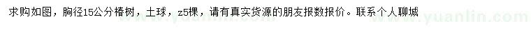 求購胸徑15公分椿樹