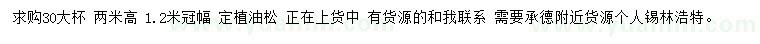 求購(gòu)冠幅1.2米油松