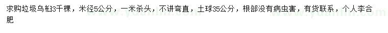 求購米徑5公分烏桕
