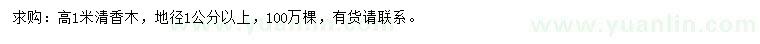 求購高1米清香木