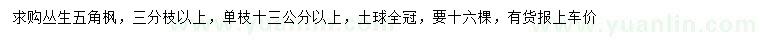 求購叢生五角楓