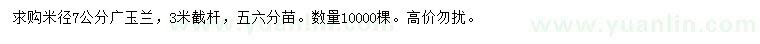 求購米徑7公分廣玉蘭