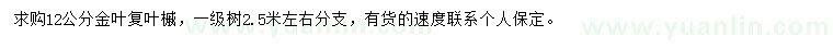求購12公分金葉復(fù)葉槭