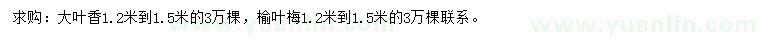 求購(gòu)1.2-1.5米大葉香、榆葉梅