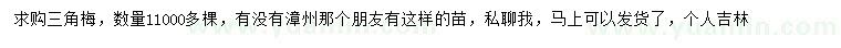 求購(gòu)三角梅