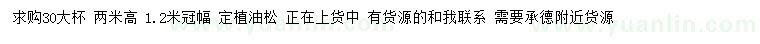 求購高2米油松