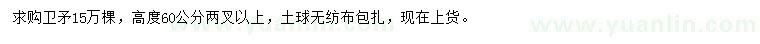 求購(gòu)高60公分衛(wèi)矛