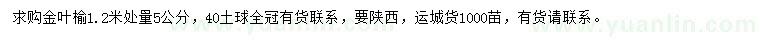 求購(gòu)1.2米量5公分金葉榆