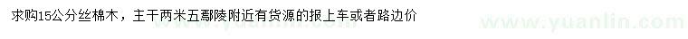 求購15公分絲棉木