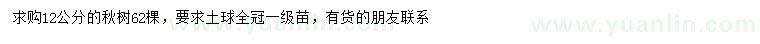 求購12公分楸樹