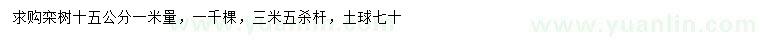 求購1米量15公分欒樹