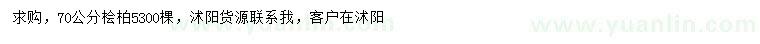 求購70公分檜柏
