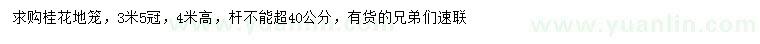 求購冠幅3.5米桂花