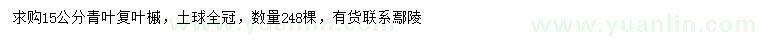 求購15公分青葉復(fù)葉槭