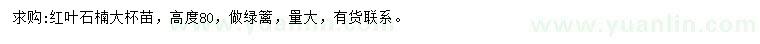 求購高80公分紅葉石楠