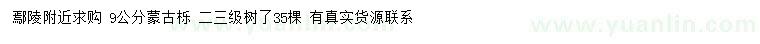求購9公分蒙古櫟