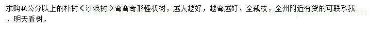 求購40公分以上樸樹、沙浪樹