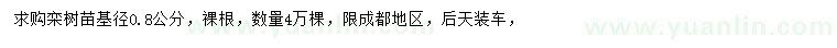 求購基徑0.8公分欒樹