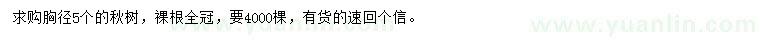 求購胸徑5公分楸樹