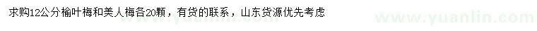 求購(gòu)12公分榆葉梅、美人梅